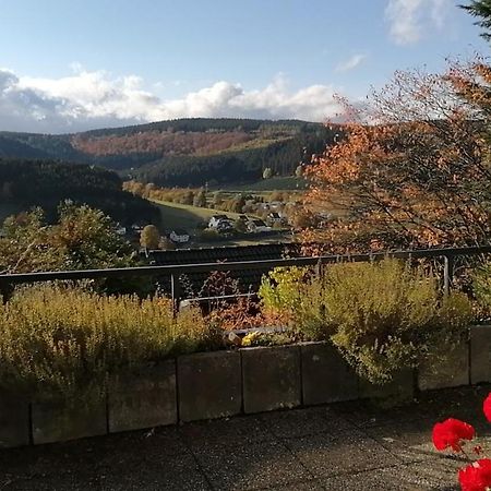 Pension Altenbeck & Ferienwohnung Winterberg Exteriér fotografie